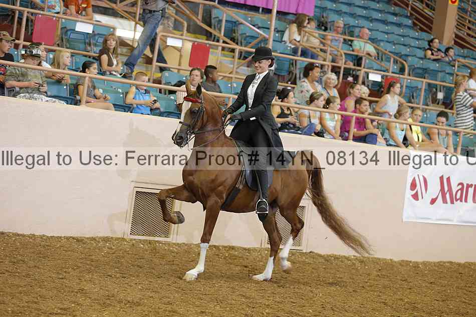 Proof 14yn_08134