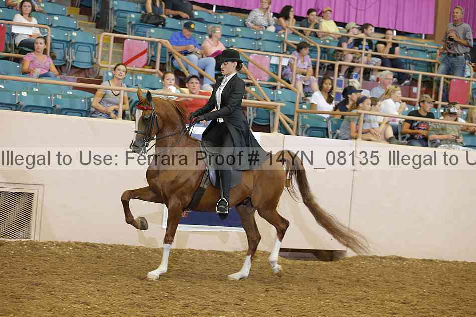 Proof 14yn_08135