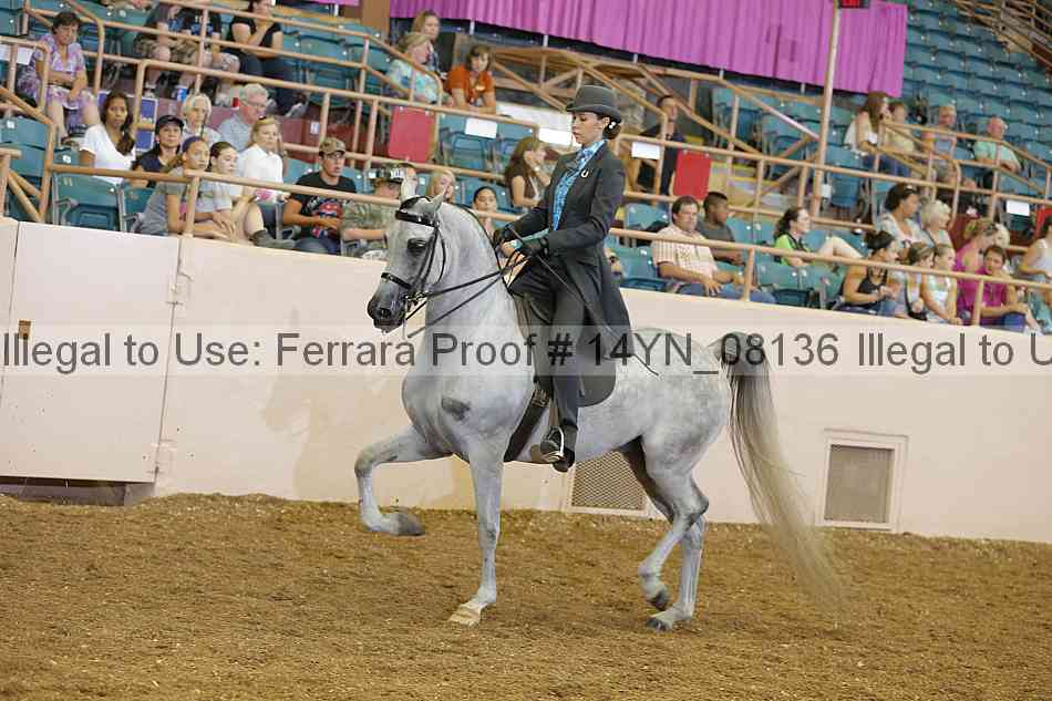 Proof 14yn_08136