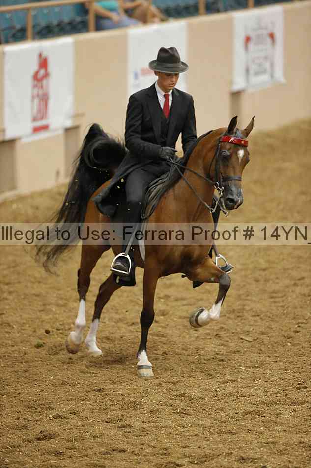 Proof 14yn_08137