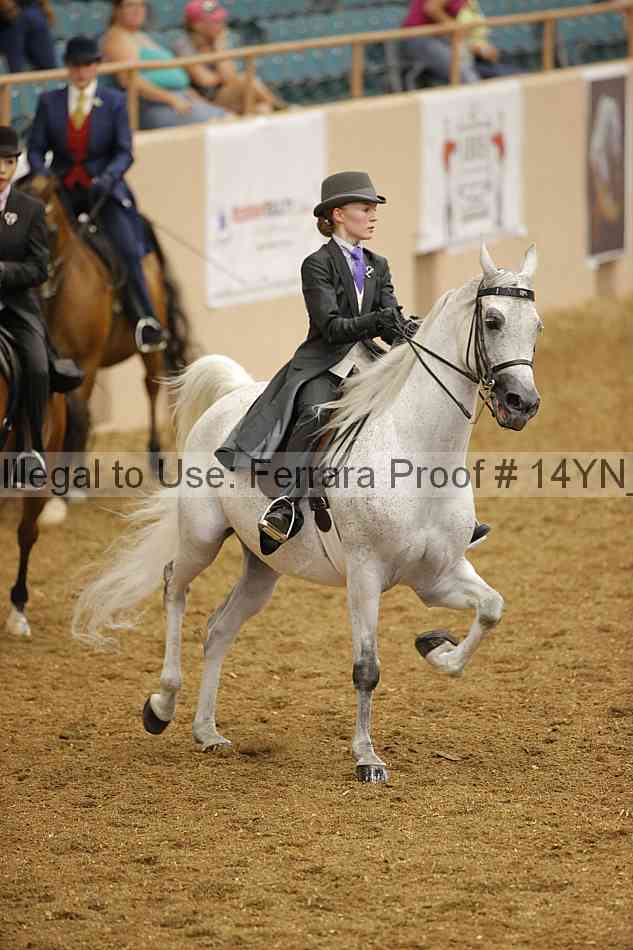 Proof 14yn_08140