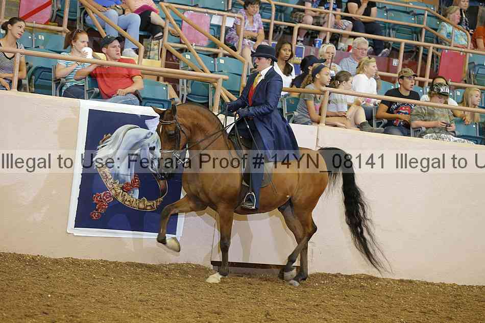 Proof 14yn_08141