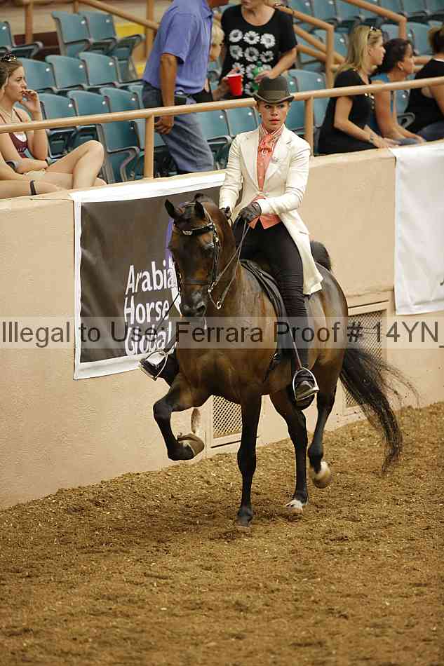 Proof 14yn_08146
