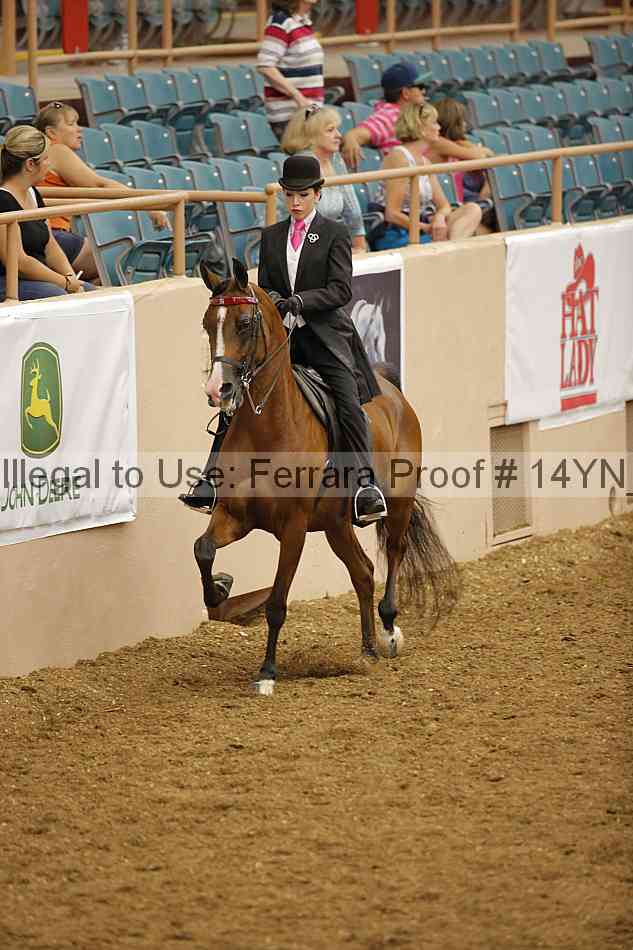 Proof 14yn_08147