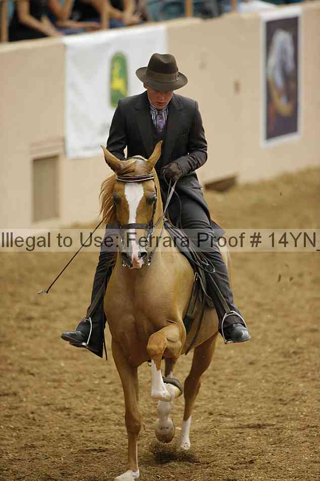 Proof 14yn_08154