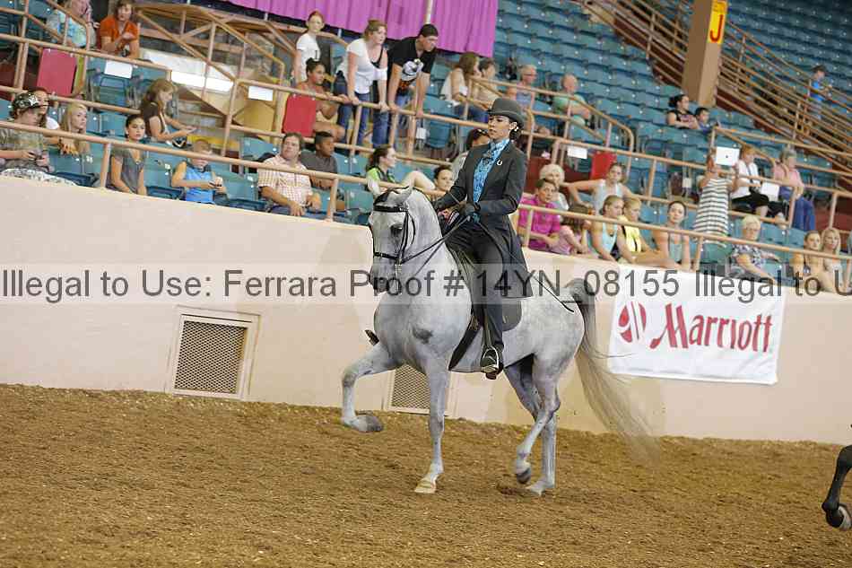 Proof 14yn_08155