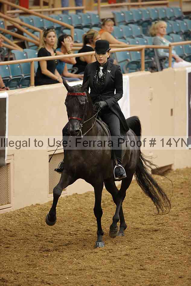 Proof 14yn_08156