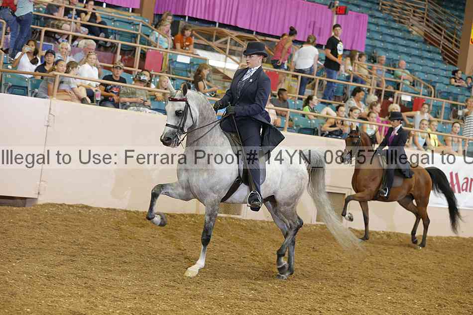 Proof 14yn_08157