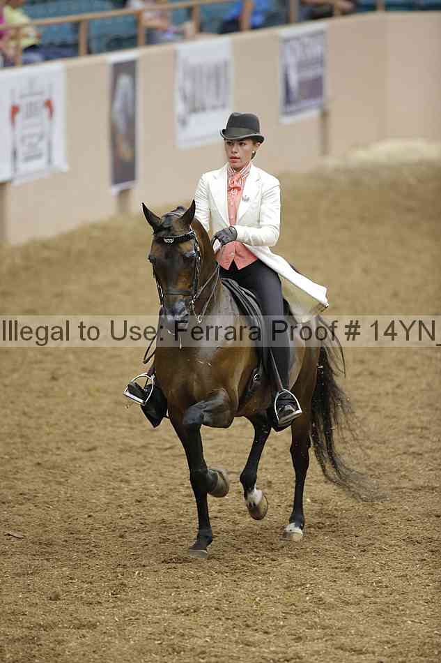 Proof 14yn_08158