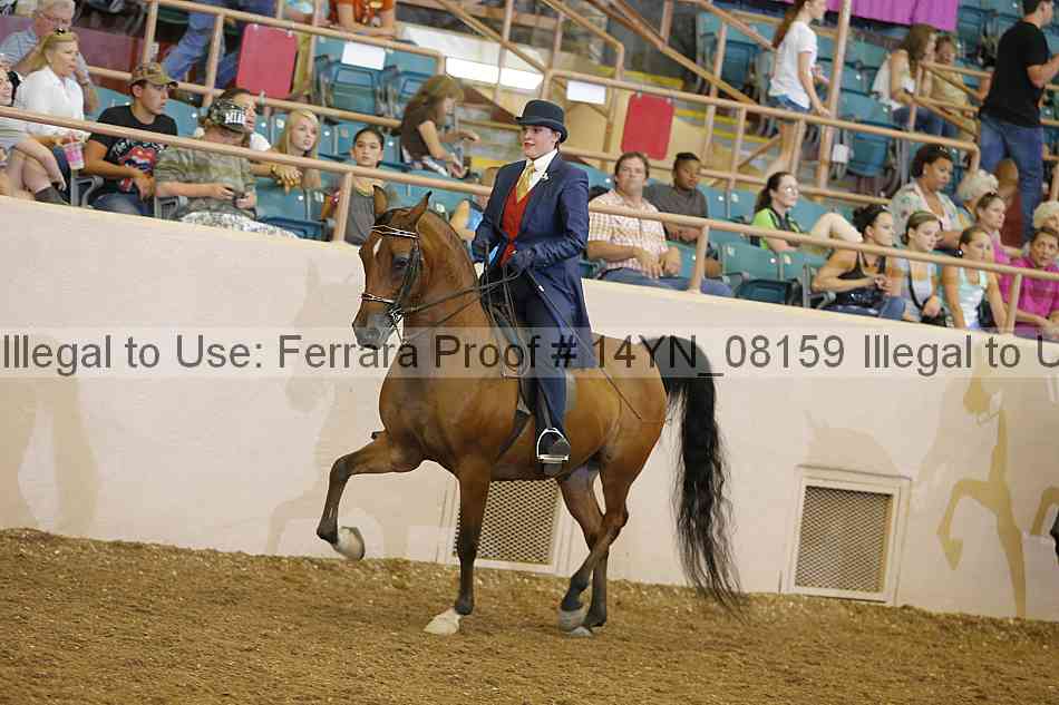 Proof 14yn_08159