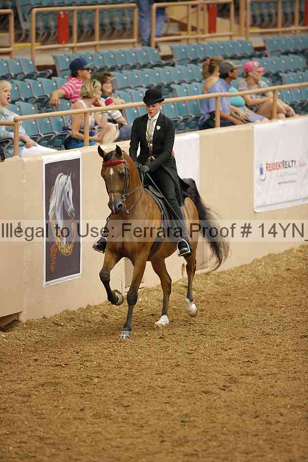 Proof 14yn_08160