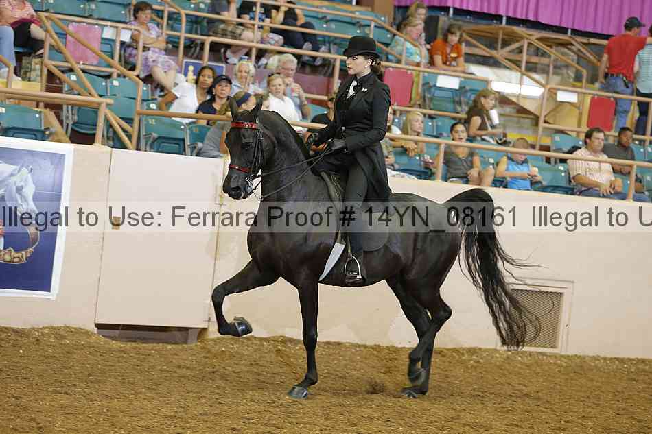Proof 14yn_08161