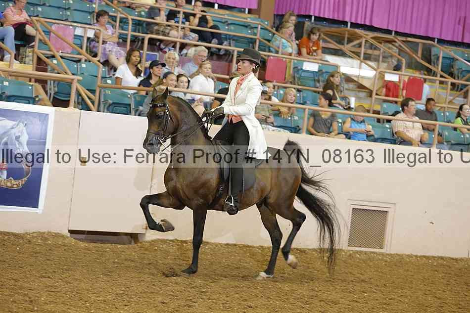 Proof 14yn_08163