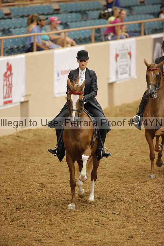Proof 14yn_08164