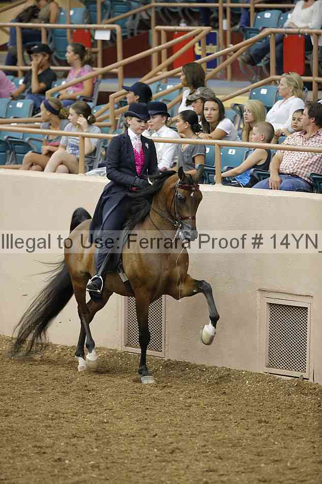 Proof 14yn_08167