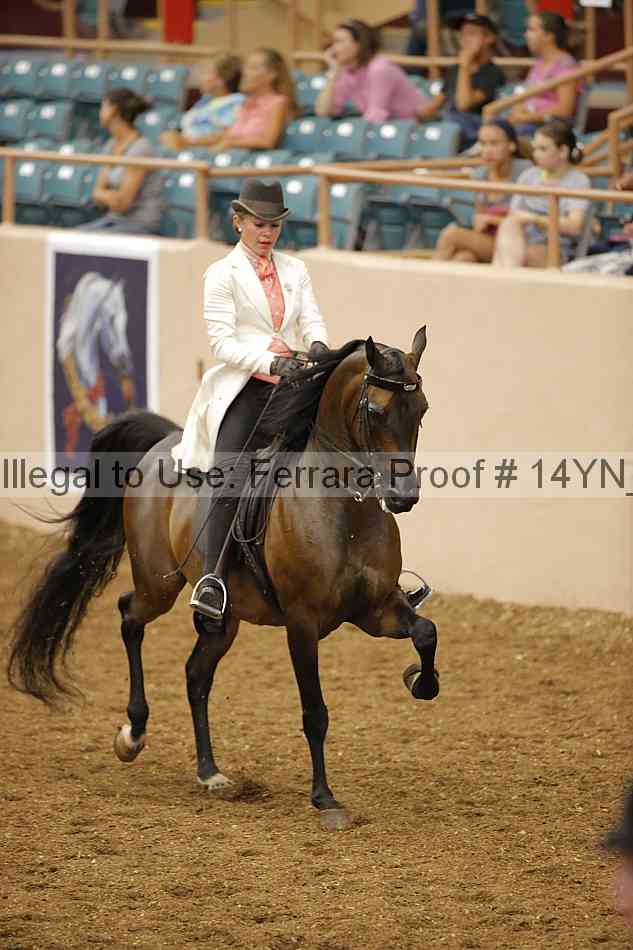Proof 14yn_08168