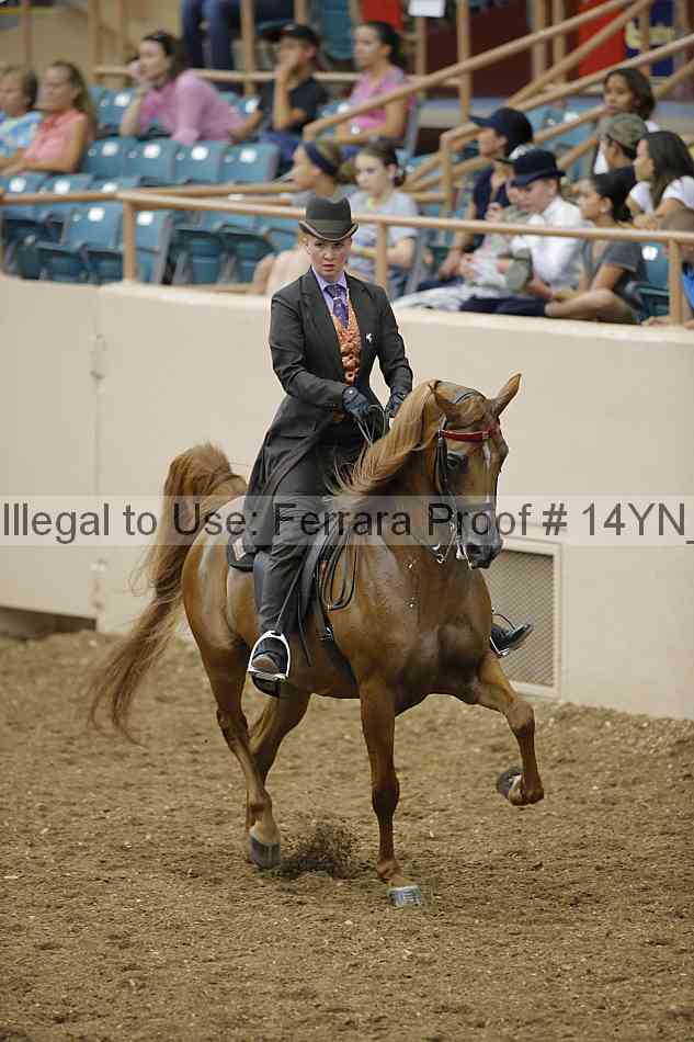 Proof 14yn_08169