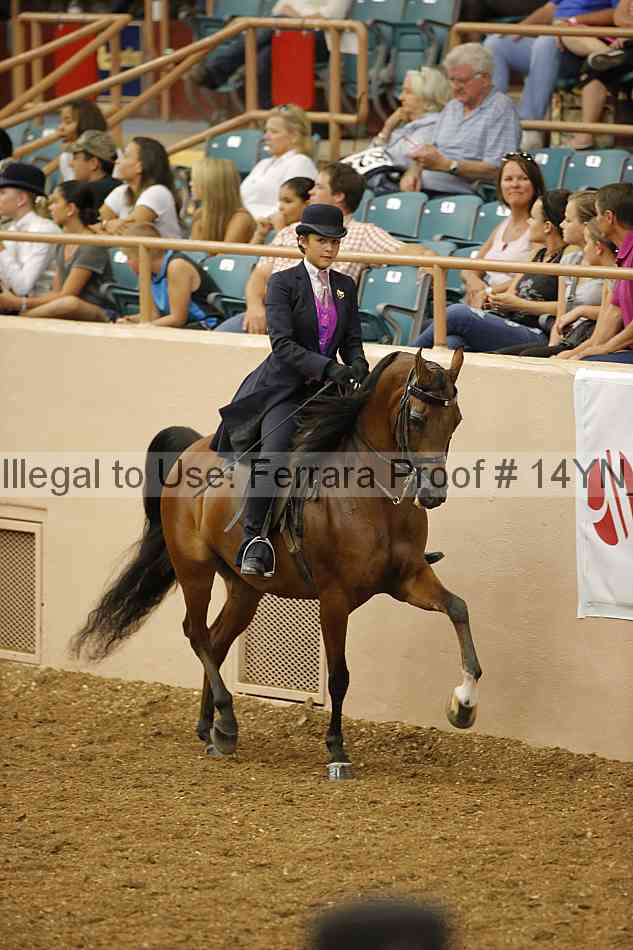 Proof 14yn_08170