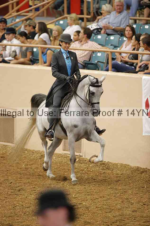 Proof 14yn_08171