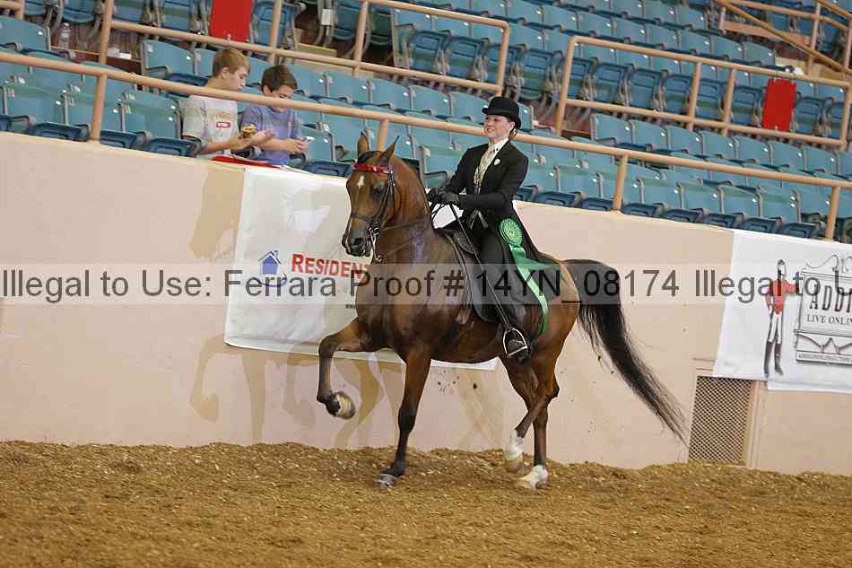 Proof 14yn_08174