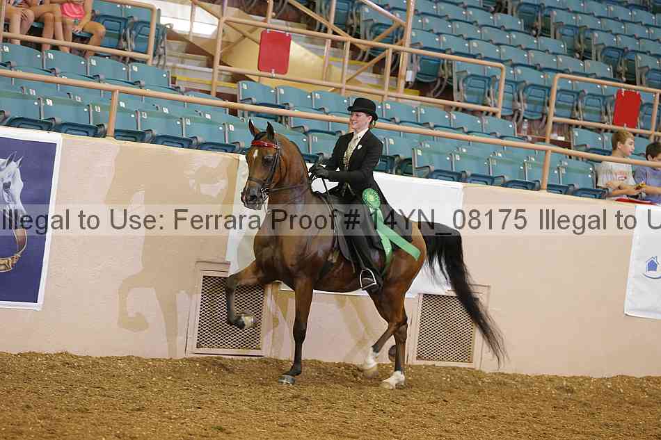 Proof 14yn_08175