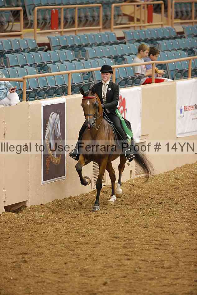 Proof 14yn_08176