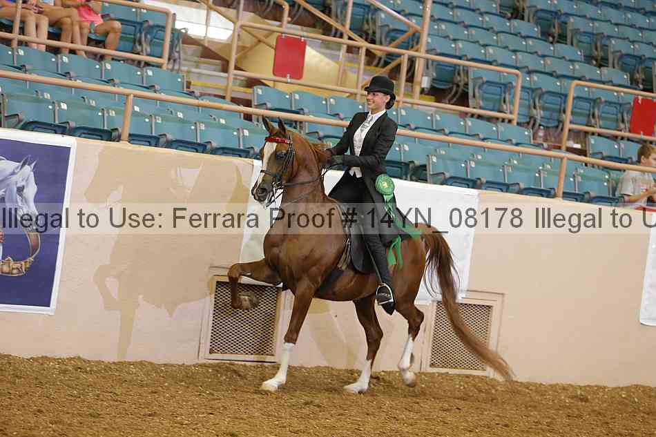 Proof 14yn_08178
