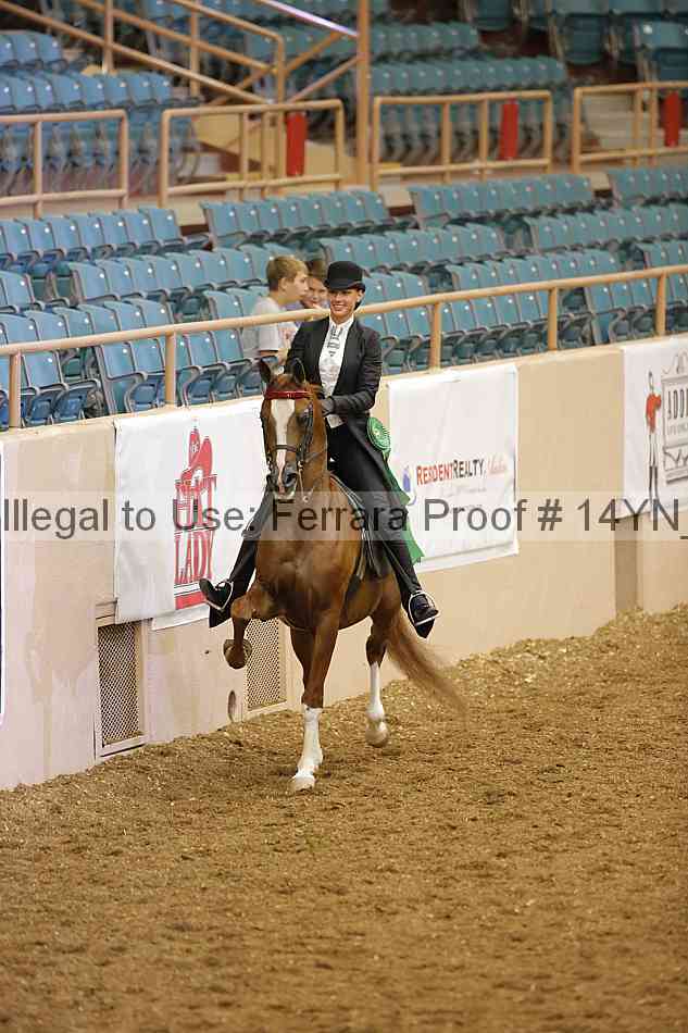Proof 14yn_08180
