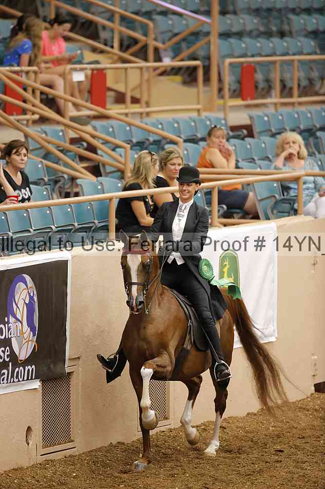 Proof 14yn_08182