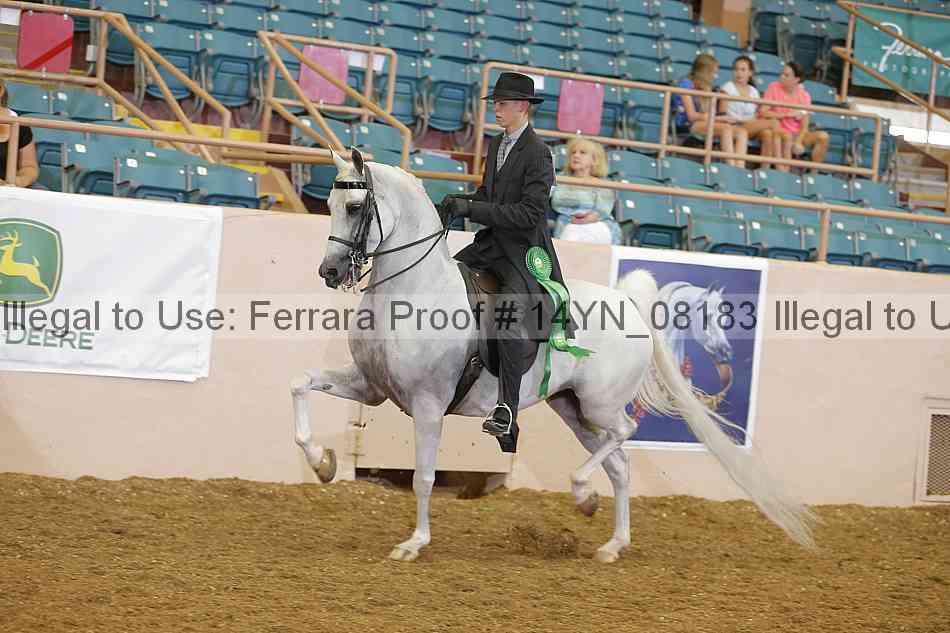 Proof 14yn_08183