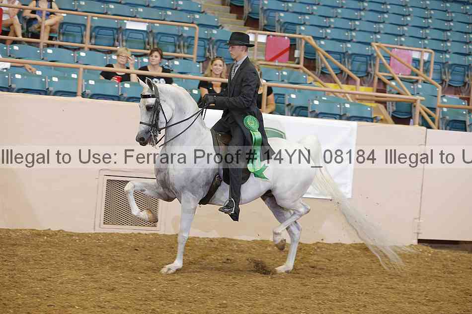 Proof 14yn_08184