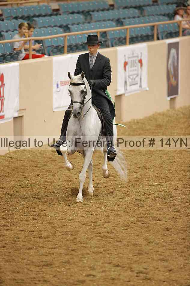Proof 14yn_08185