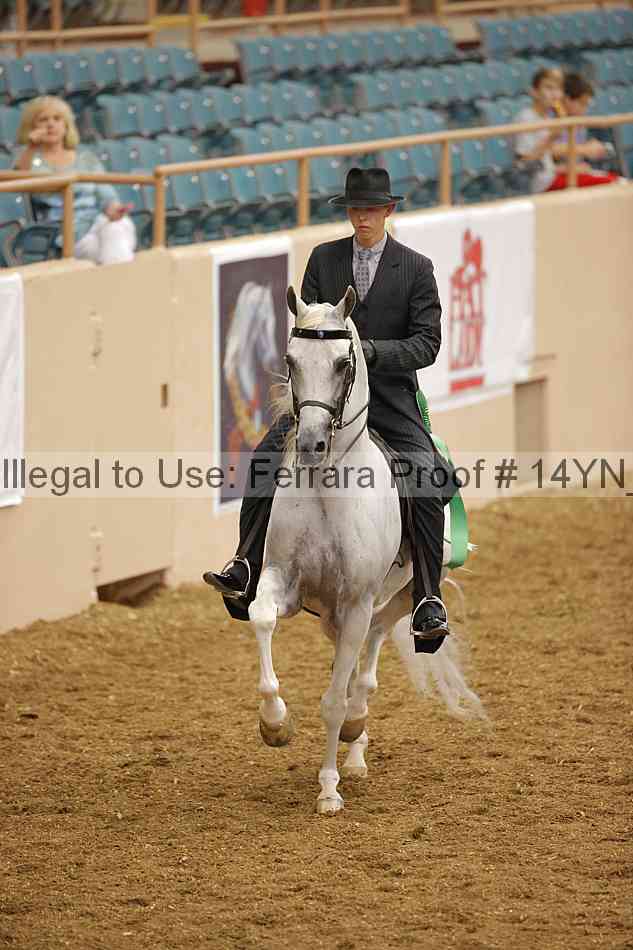 Proof 14yn_08186