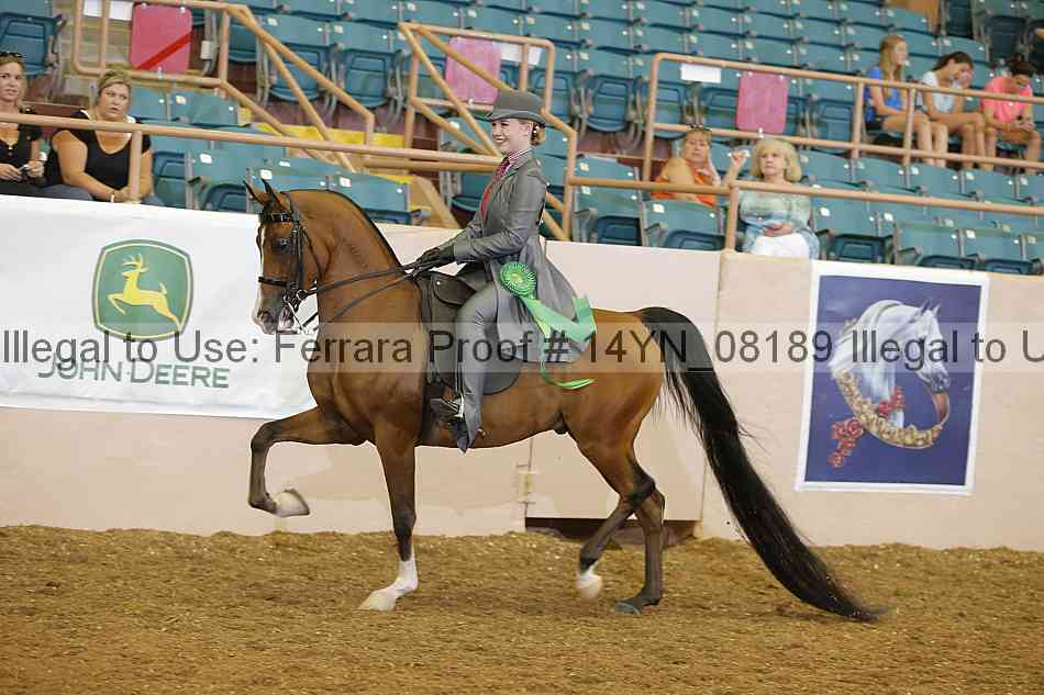 Proof 14yn_08189
