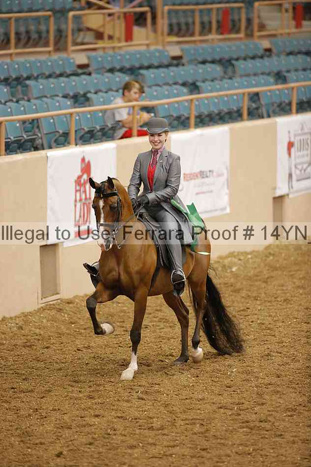 Proof 14yn_08190