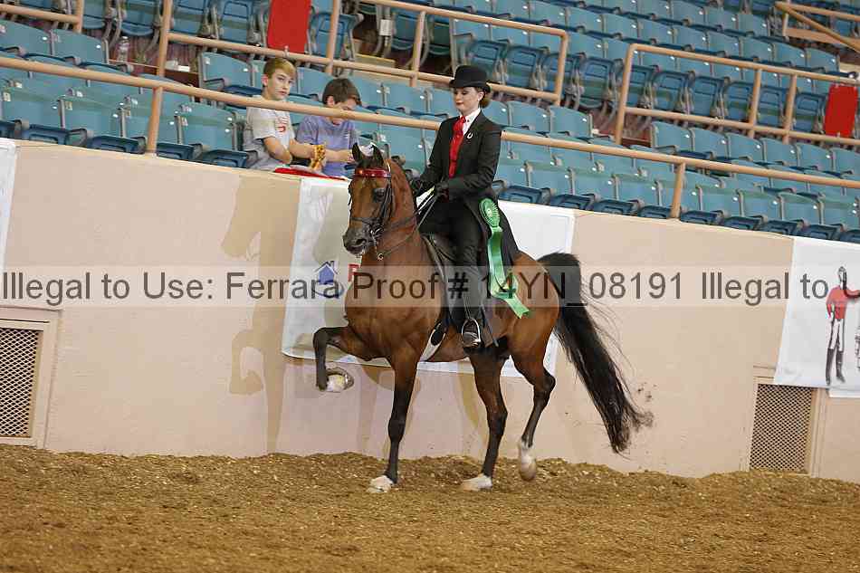Proof 14yn_08191