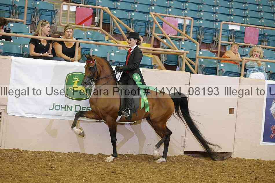 Proof 14yn_08193