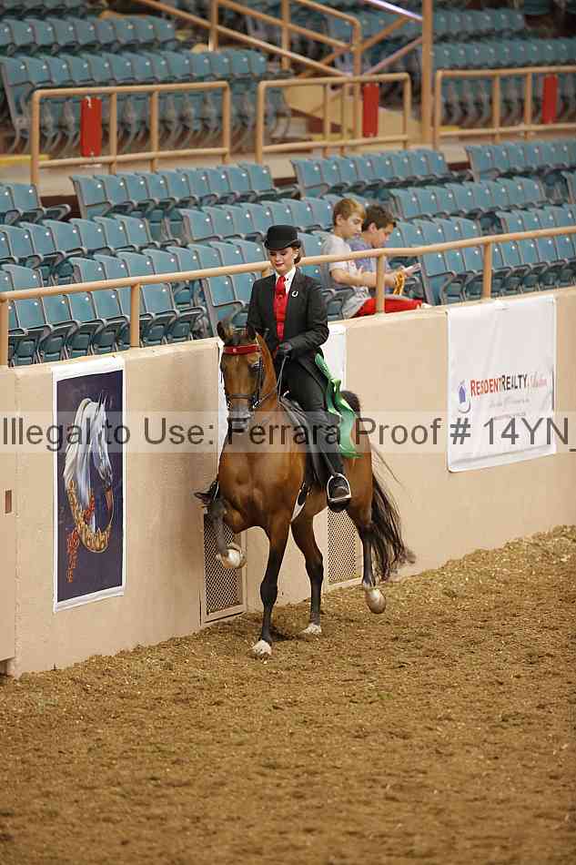 Proof 14yn_08194