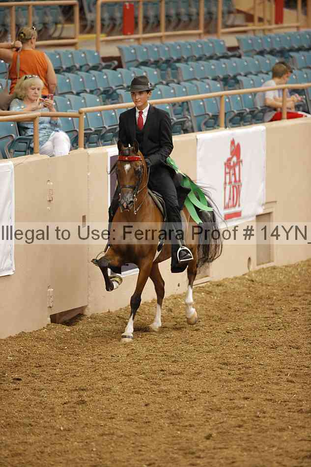 Proof 14yn_08197