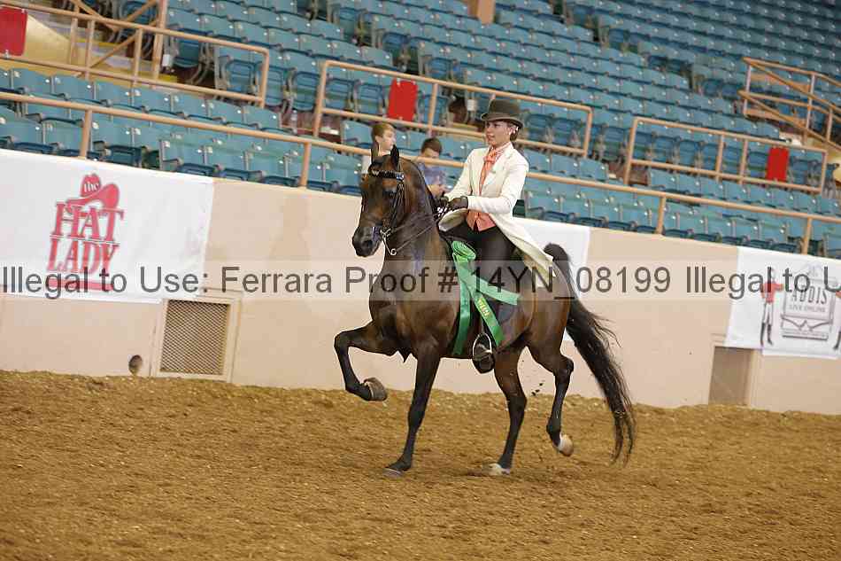 Proof 14yn_08199