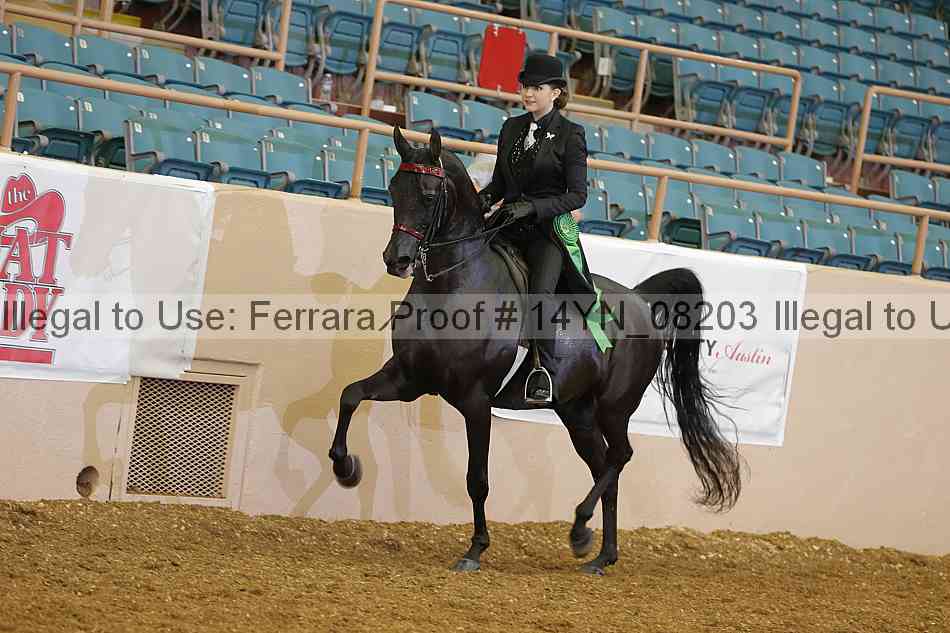 Proof 14yn_08203