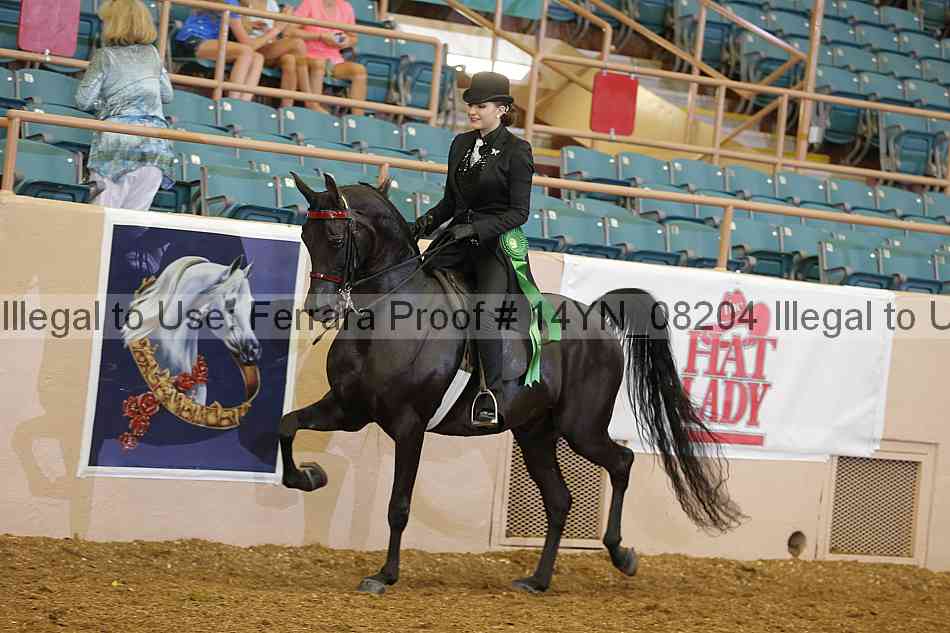 Proof 14yn_08204