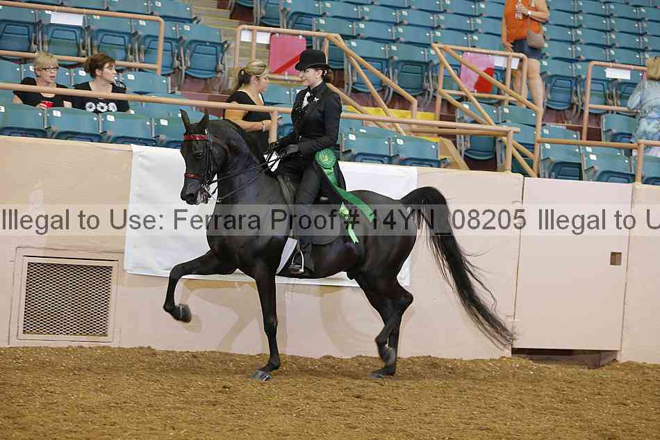 Proof 14yn_08205