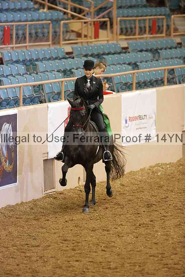 Proof 14yn_08206