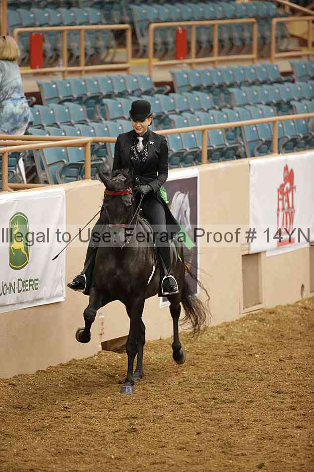 Proof 14yn_08207