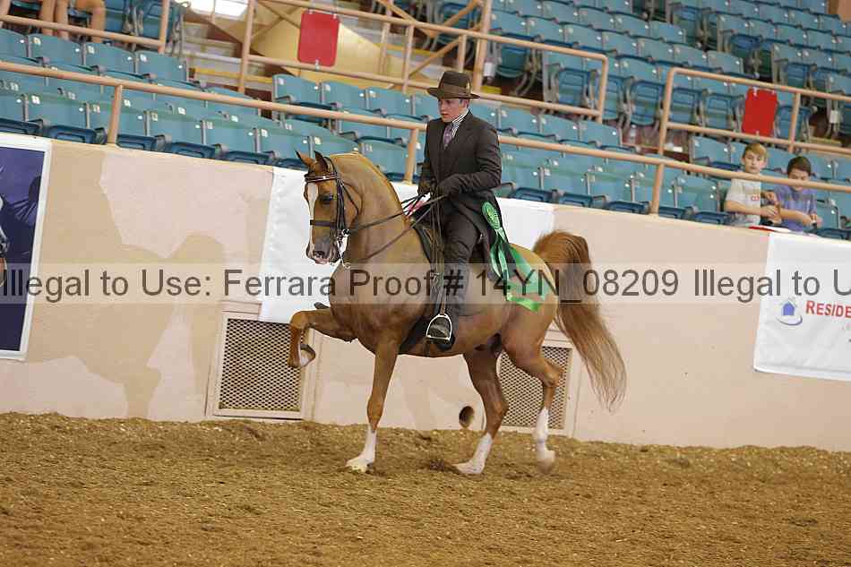 Proof 14yn_08209