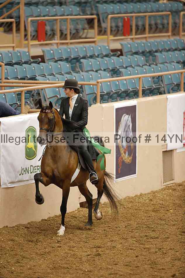 Proof 14yn_08211