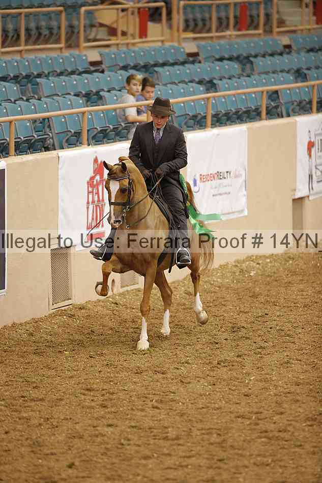 Proof 14yn_08212