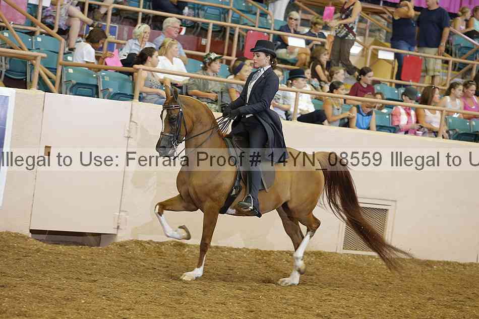 Proof 14yn_08559