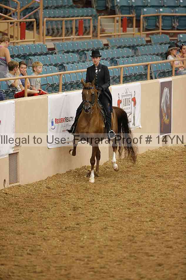 Proof 14yn_08560